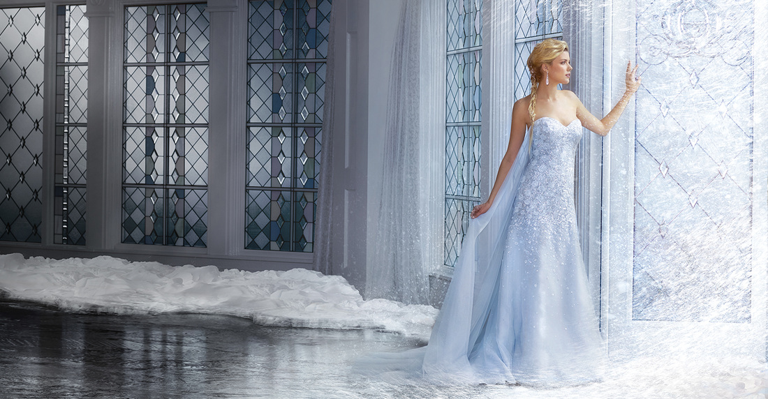 Disney Fairy Tale Wedding Dress